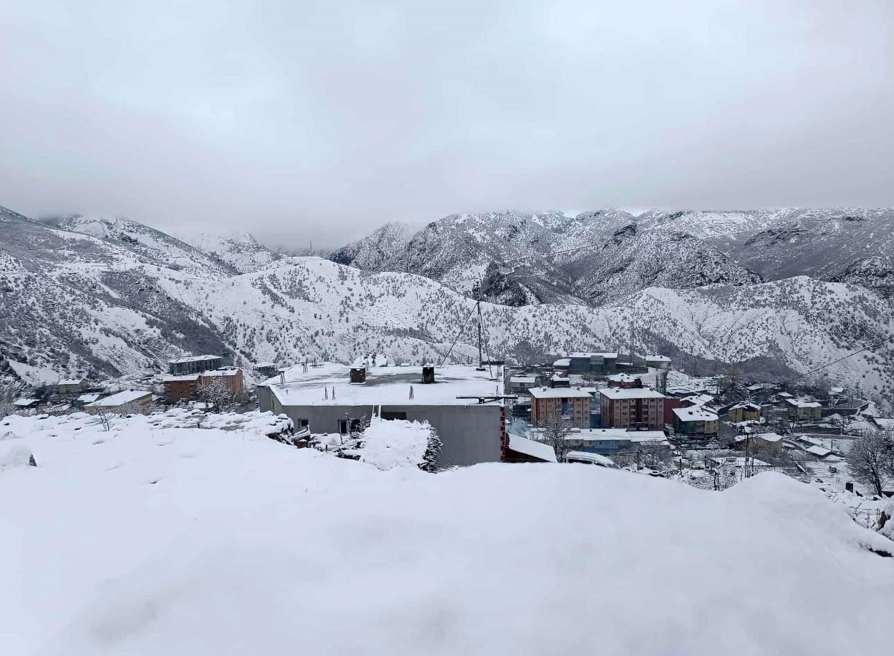 Şırnak’ta nisanda lapa lapa kar yağdı, ahırlar zarar gördü