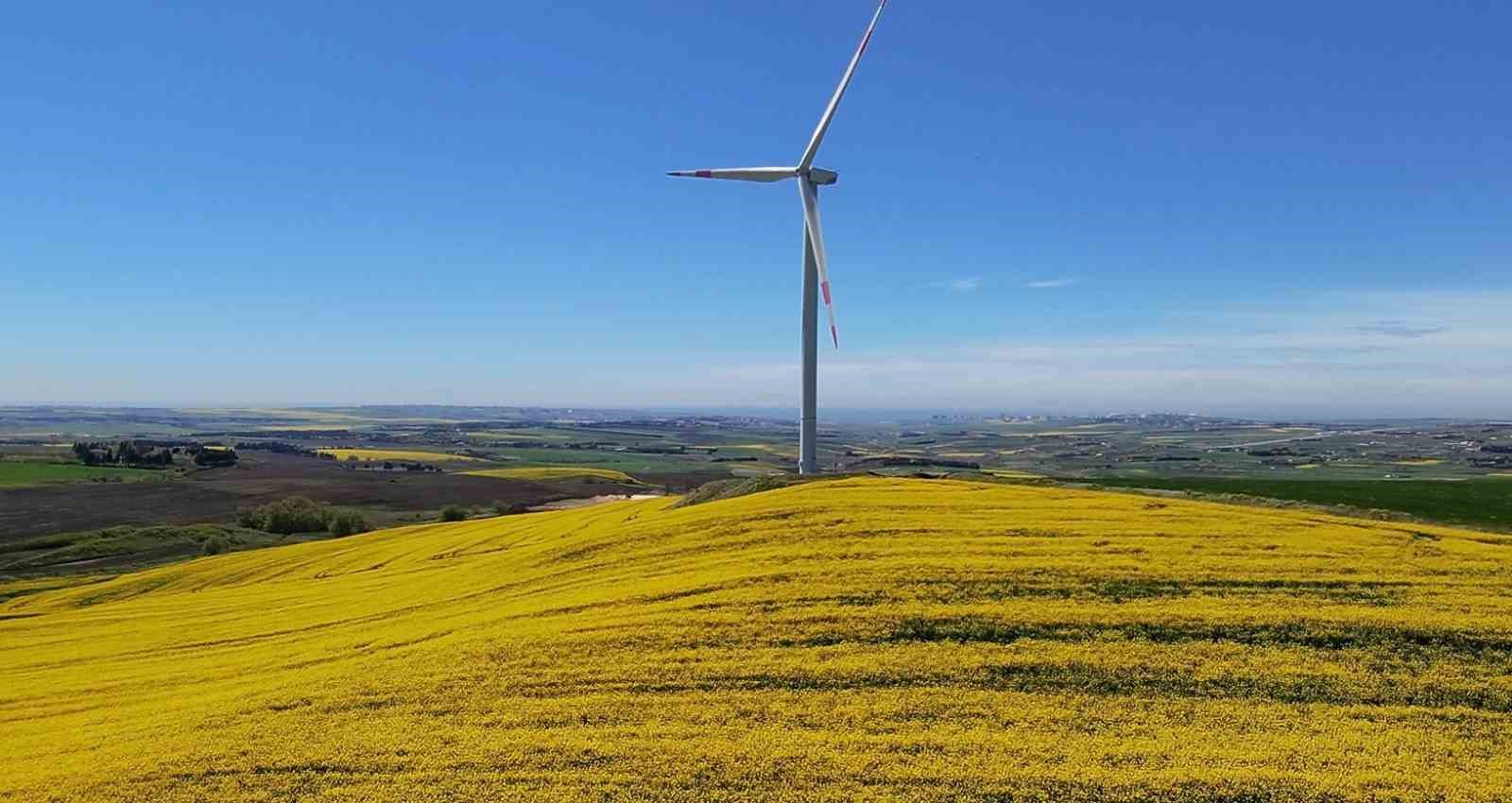 İstanbul’da manzarasıyla mest eden Kanola tarlası havadan görüntülendi