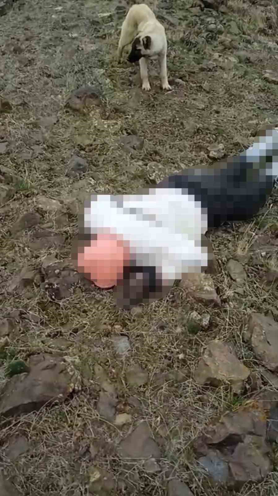 Özalp kırsalında erkek cesedi bulundu