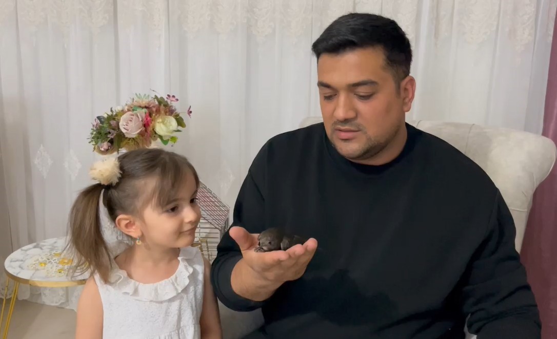 Yaralı sandığı ebabili evinde besledi, daha sonra doğaya bıraktı
