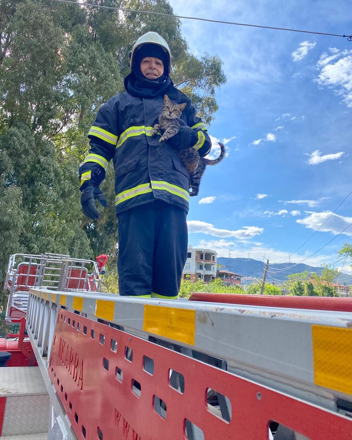 Ağaçta mahsur kalan kediyi itfaiye kurtardı