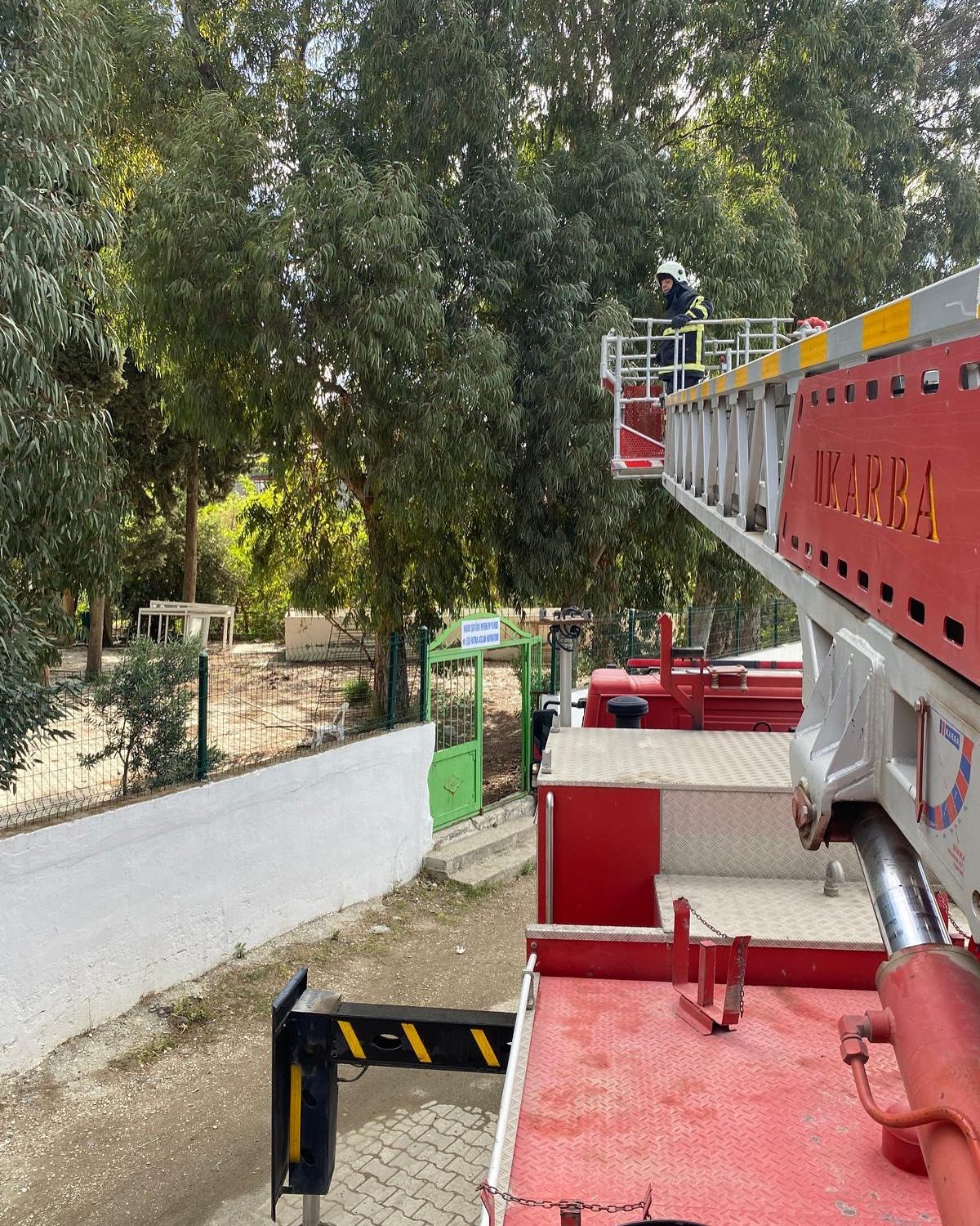 Ağa&ccedil;ta mahsur kalan kediyi itfaiye kurtardı
