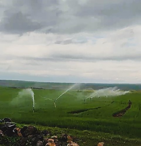 Ka&ccedil;ak elektrikle sulama yağmur yağarken de devam etti
