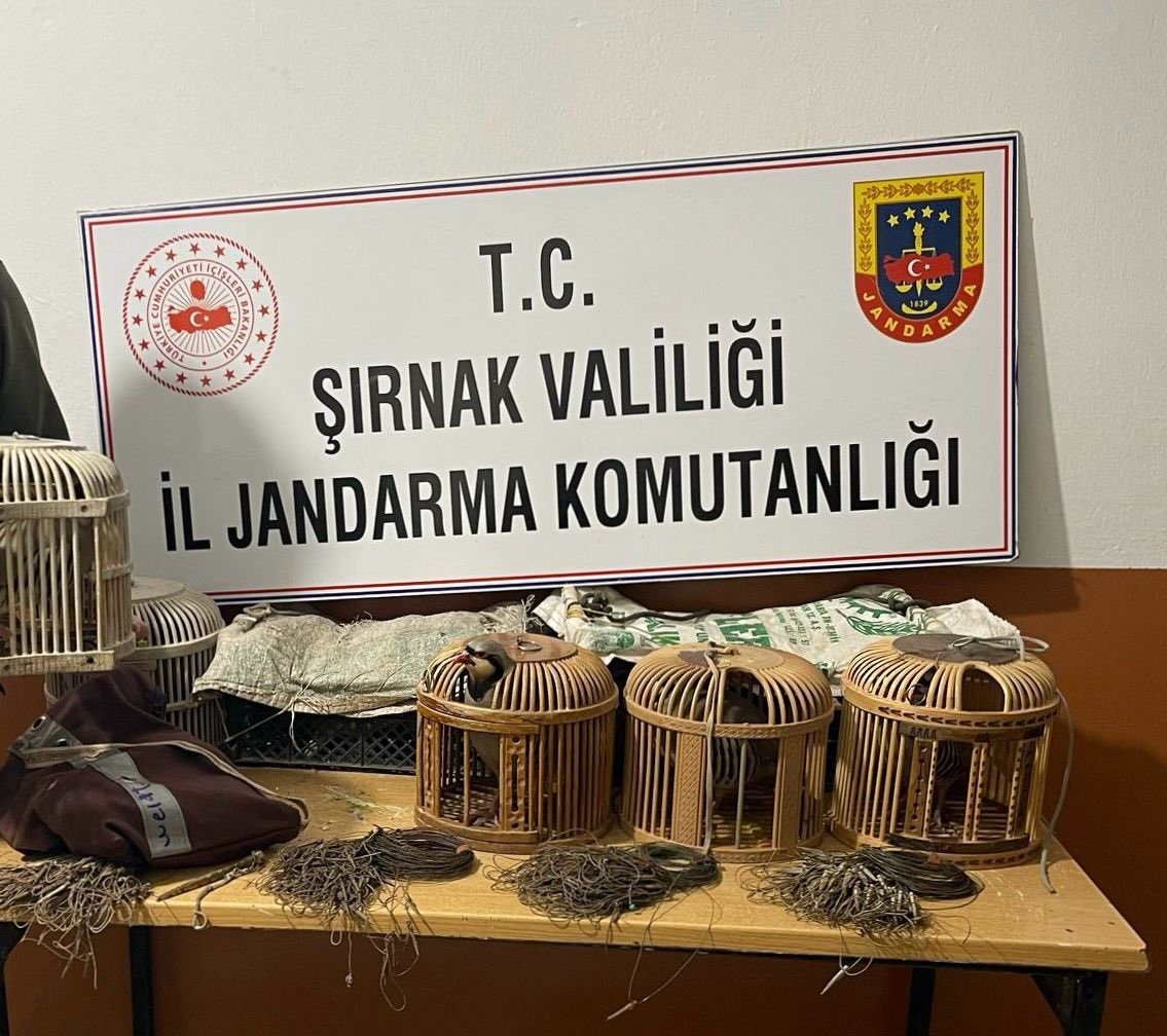 Şırnak&rsquo;ta jandarma ekipleri keklik avcılarına ge&ccedil;it vermedi
