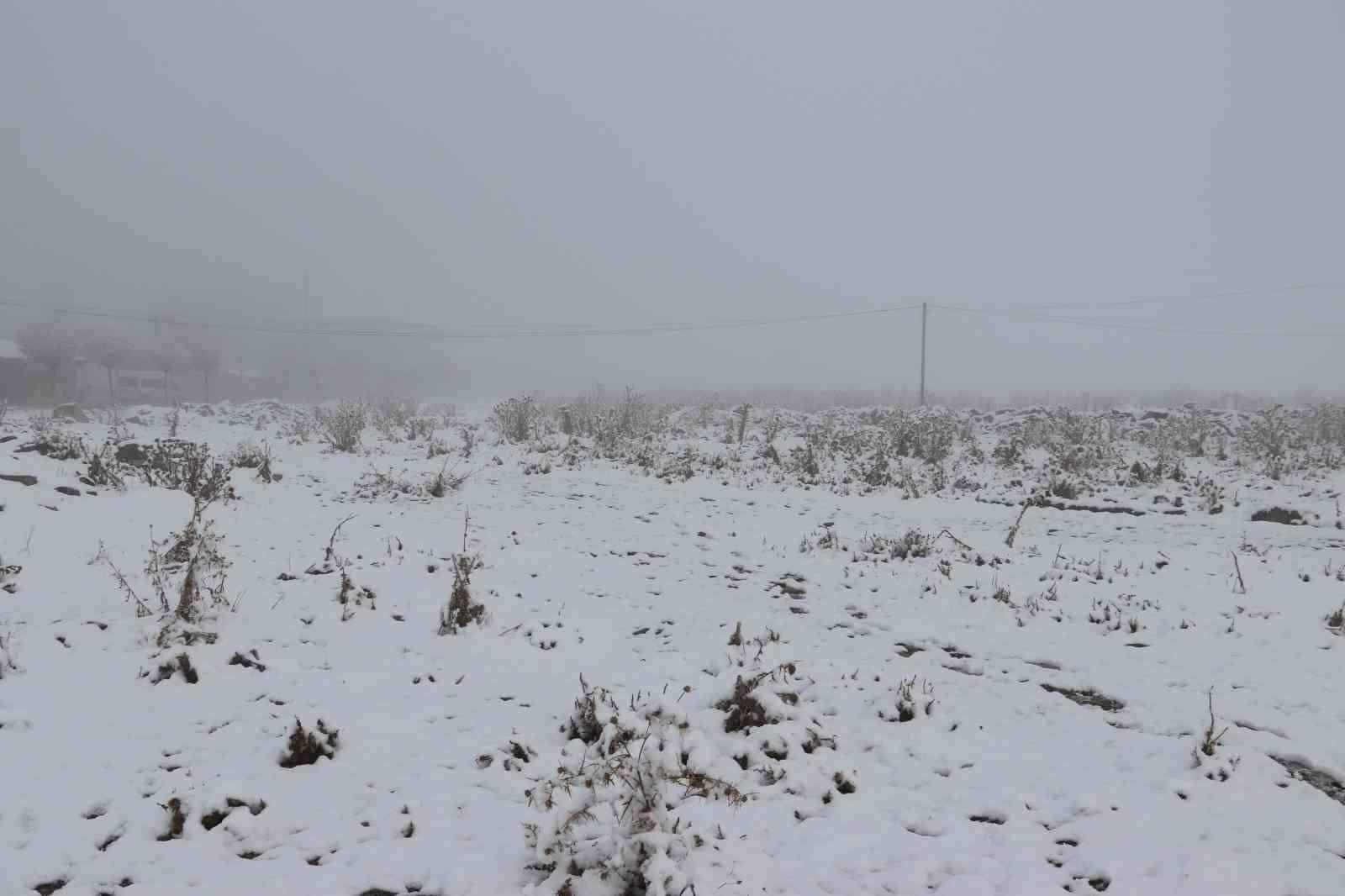 Diyadin’de nisan ayında kar yağışı etkili oldu