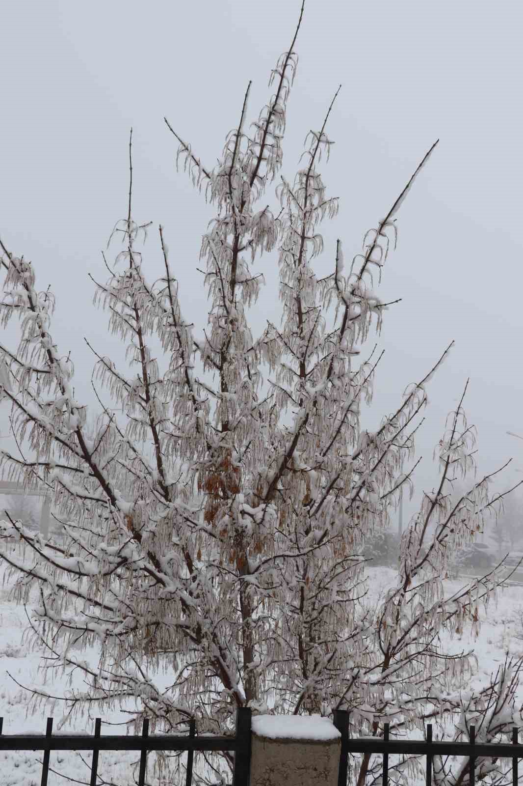 Diyadin&rsquo;de nisan ayında kar yağışı etkili oldu
