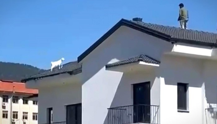 Fethiye&rsquo;de sıra dışı kurtarma operasyonu
