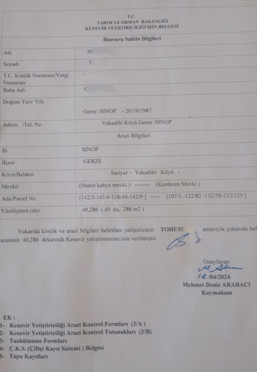 Sinop&rsquo;ta bah&ccedil;esinde 31 bin 265 k&ouml;k kenevir ele ge&ccedil;en vatandaş konuştu: "Yasal ekilen kenevirden d&ouml;k&uuml;len tohumlar"
