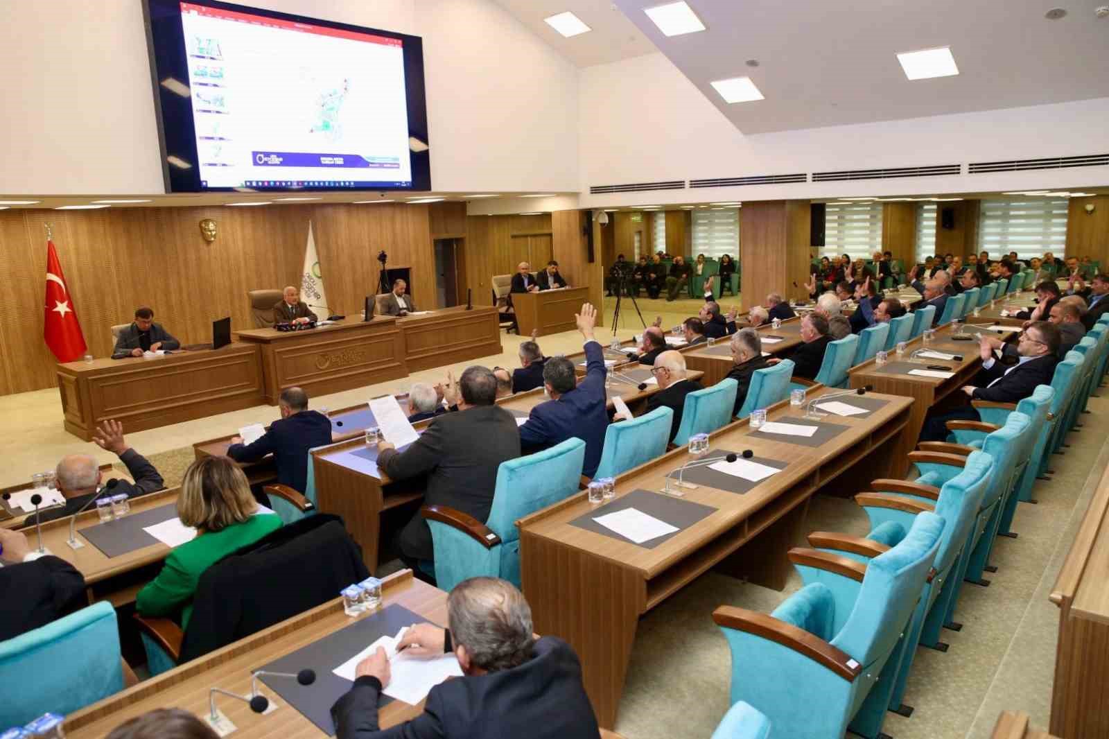 Başkan Güler: "Sokak hayvanlarına doğal yaşam alanları oluşturulması için tüm desteği vereceğiz"