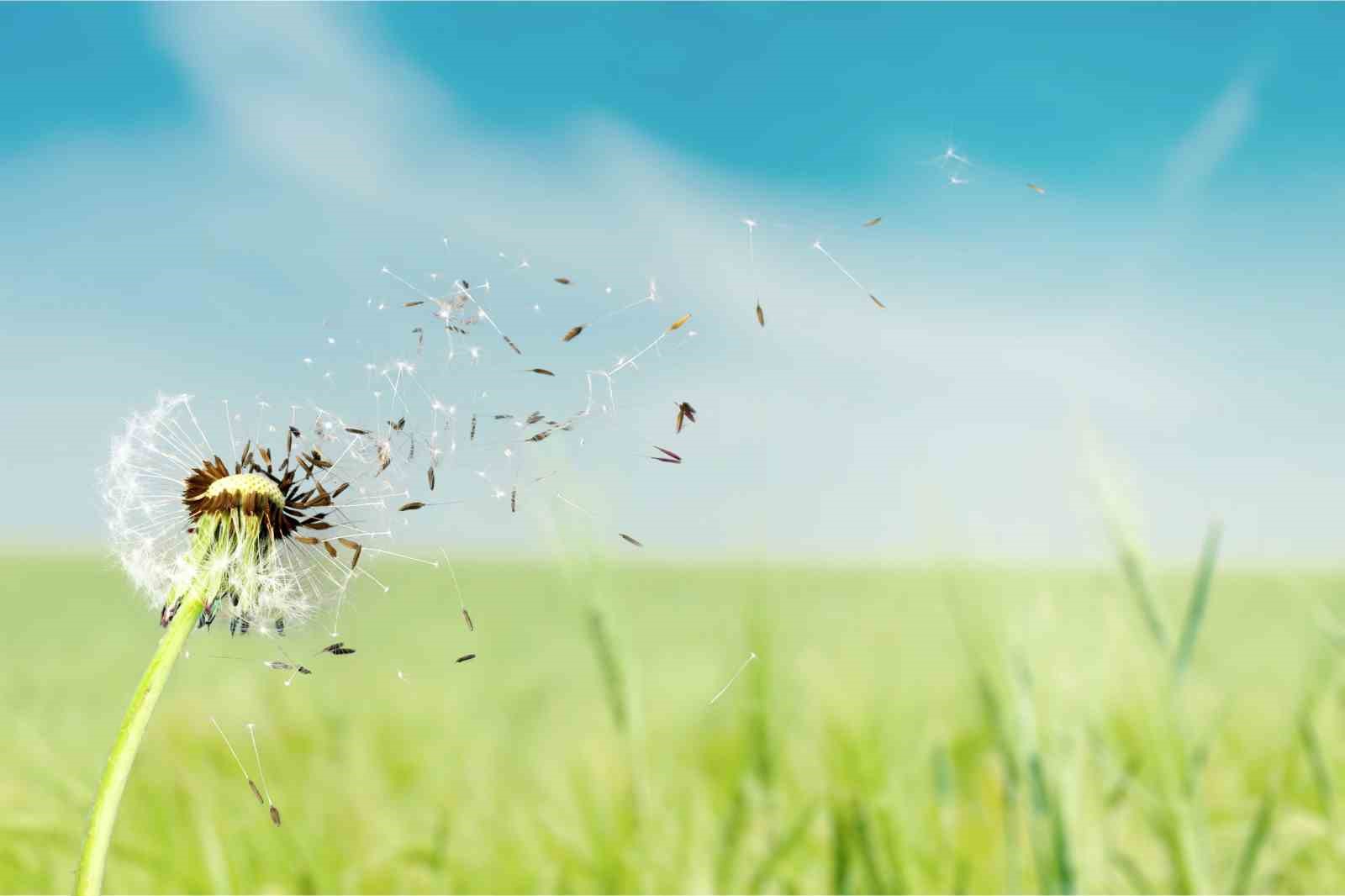 Baharla birlikte gelen polen kabusunuz olmasın