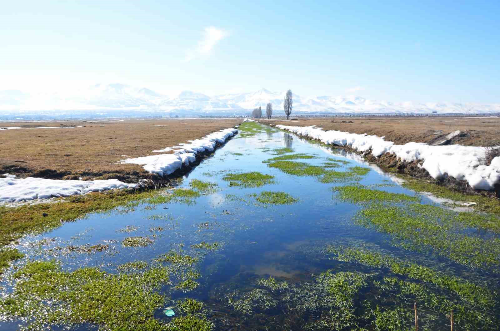 Zirai don tehlikesi sürüyor