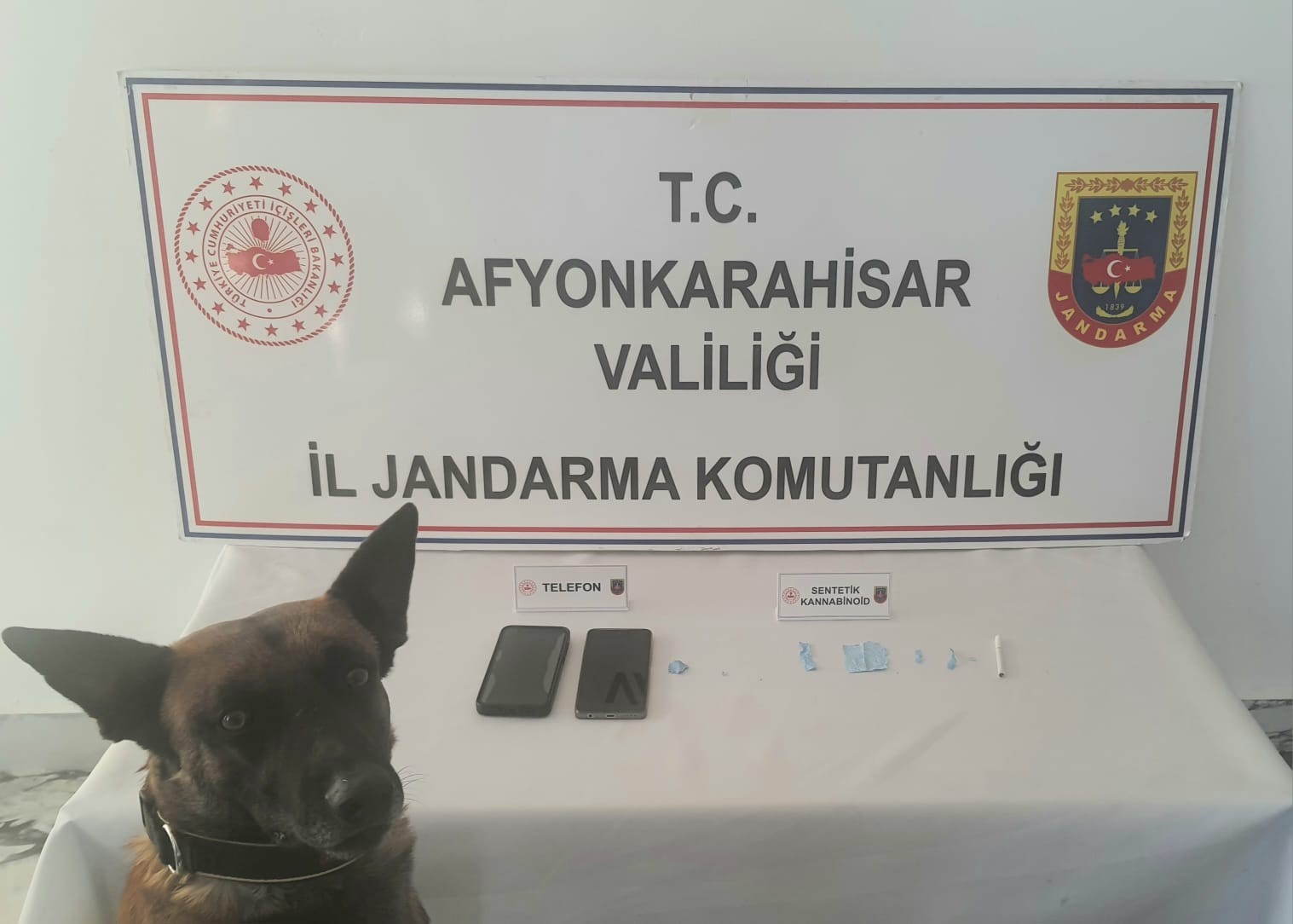 Jandarmadan uyuşturucu operasyonu: 2 gözaltı