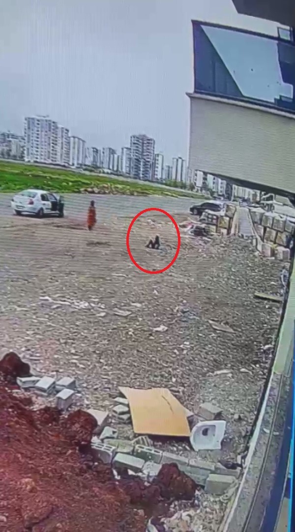 Diyarbakır&rsquo;da başıboş sokak k&ouml;peği saldırıları g&uuml;venlik kamerasında: 12 saldırgan k&ouml;pek belediye tarafından toplatıldı
