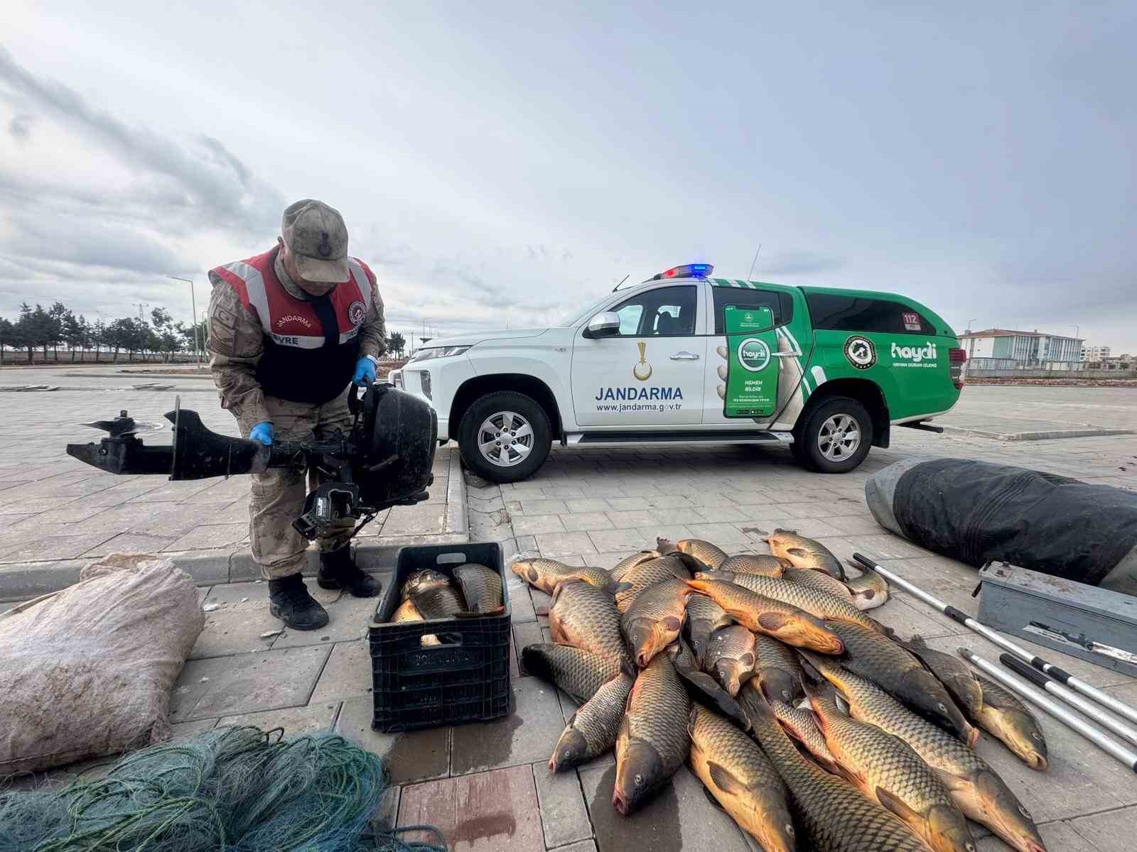 Kaçak balık avlayan şahsa 221 bin lira ceza