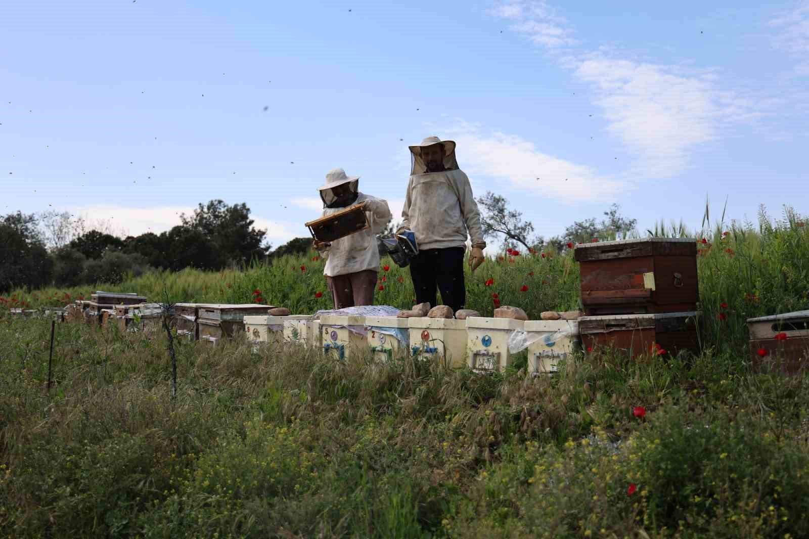 Son yıların en soğuk Nisan ayının yaşandığı Aydın’da arılar telef olmaya başladı