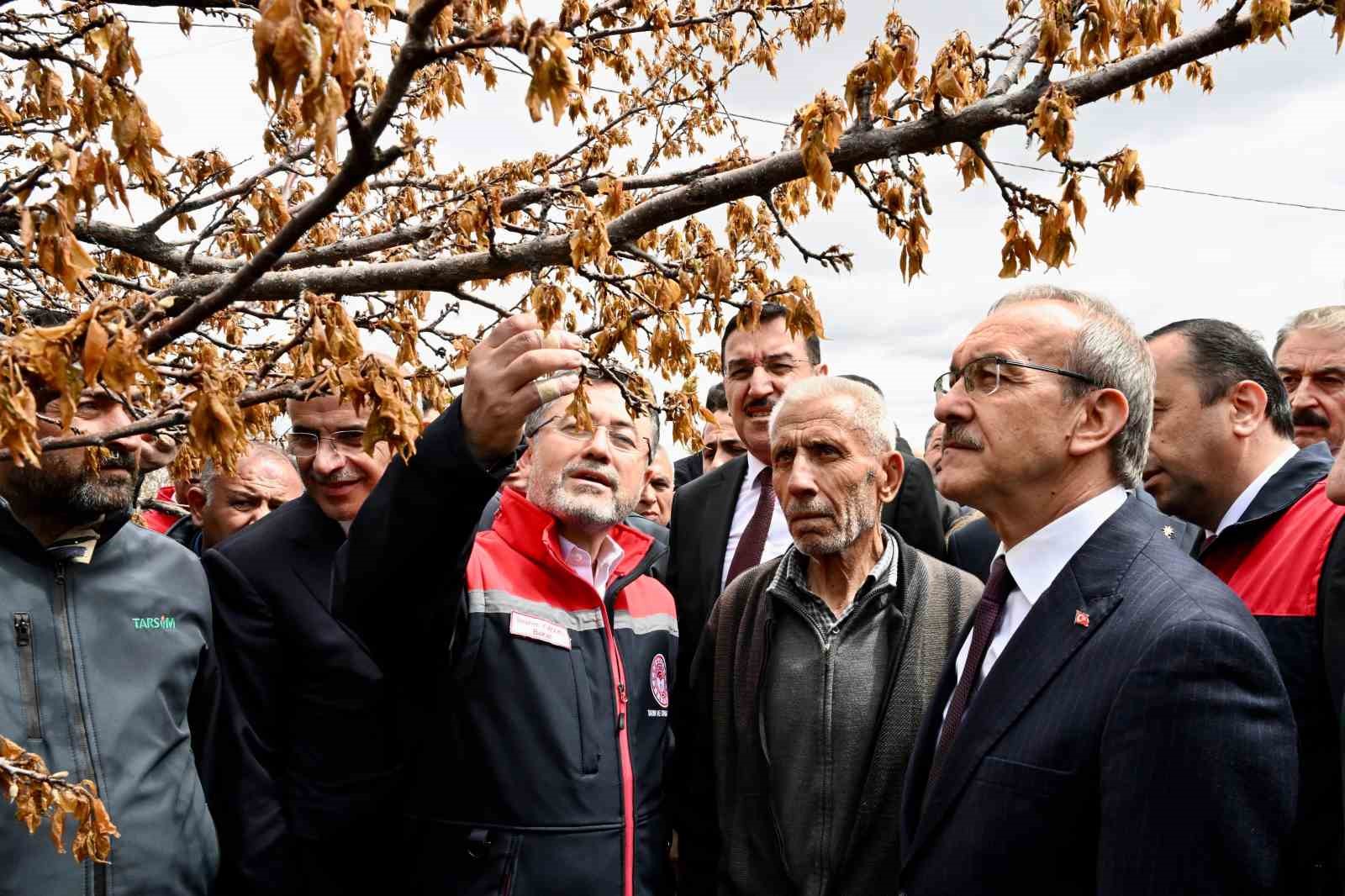 Bakan Yumaklı: "Don zararı görülen bölgelerde tüm üreticilere destek sağlanacak"