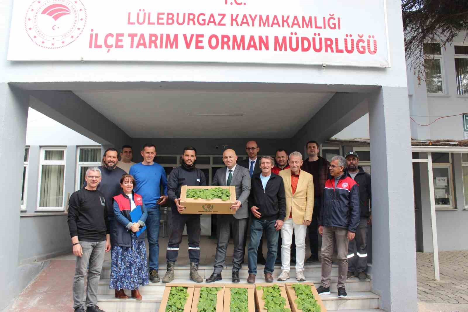 Kırklareli’nde üreticilere hıyar fidesi dağıtıldı