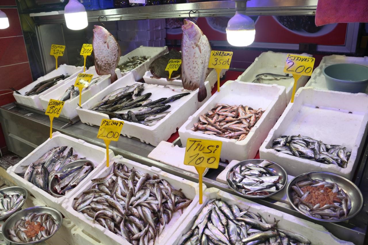 Giresunlu balık&ccedil;ılar şimdiden gelecek sezon i&ccedil;in umutlu konuşuyor
