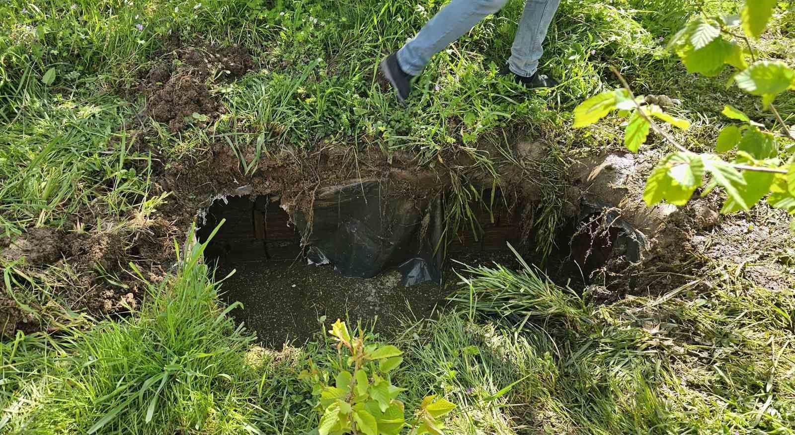 Foseptik çukuruna düşen inek iş makinesiyle kurtarıldı