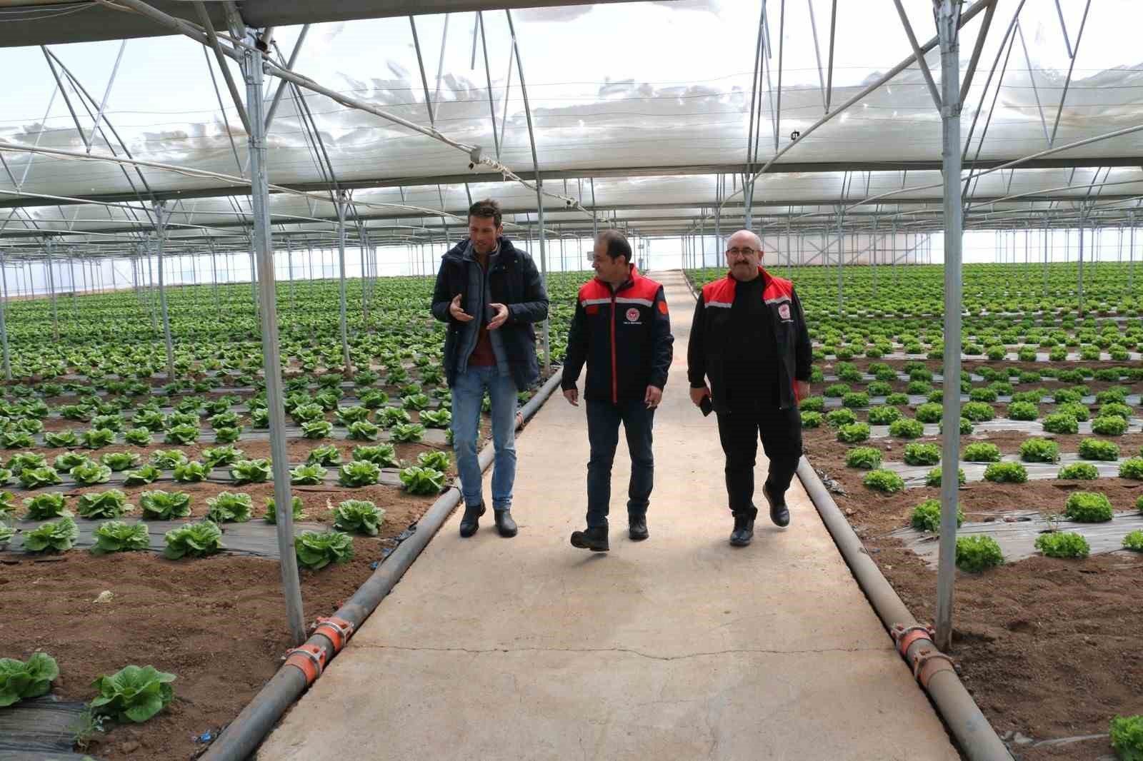 Erzincan seralarında yılda 3 ürün dönemi