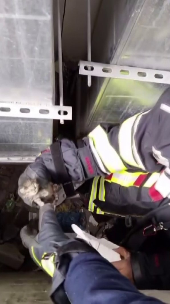 Havalandırma boşluğuna düşen kedinin yardımına itfaiye koştu