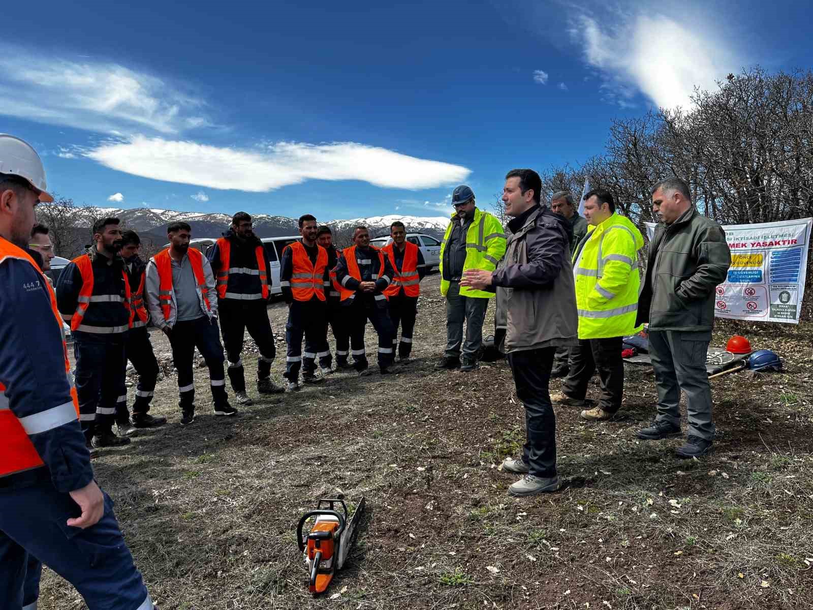 Ağaç budama çalışmaları güvenlik ve süreklilik için özenle yürütülüyor