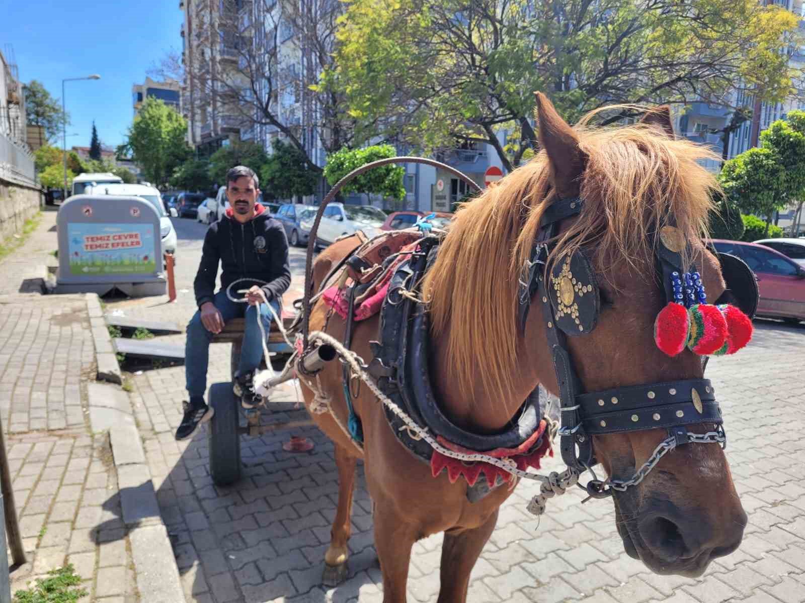 Aydın’ın son at arabacısı, evinin ve 5 çocuğunun iaşesini atıyla karşılıyor