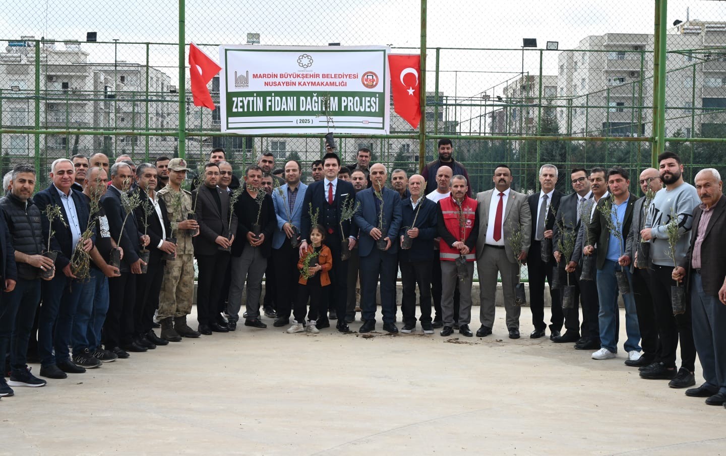 Nusaybinli çiftçilere 8 bin adet zeytin fidanı dağıtıldı