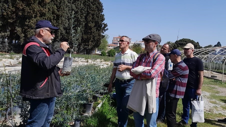 Edremit’te zeytin budama kursu uygulamalı eğitimle tamamlandı