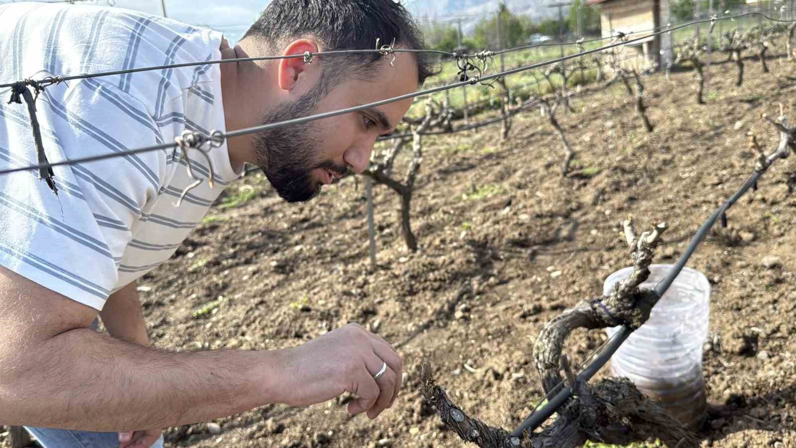Tescilli &uuml;z&uuml;me ikinci &ccedil;apa
