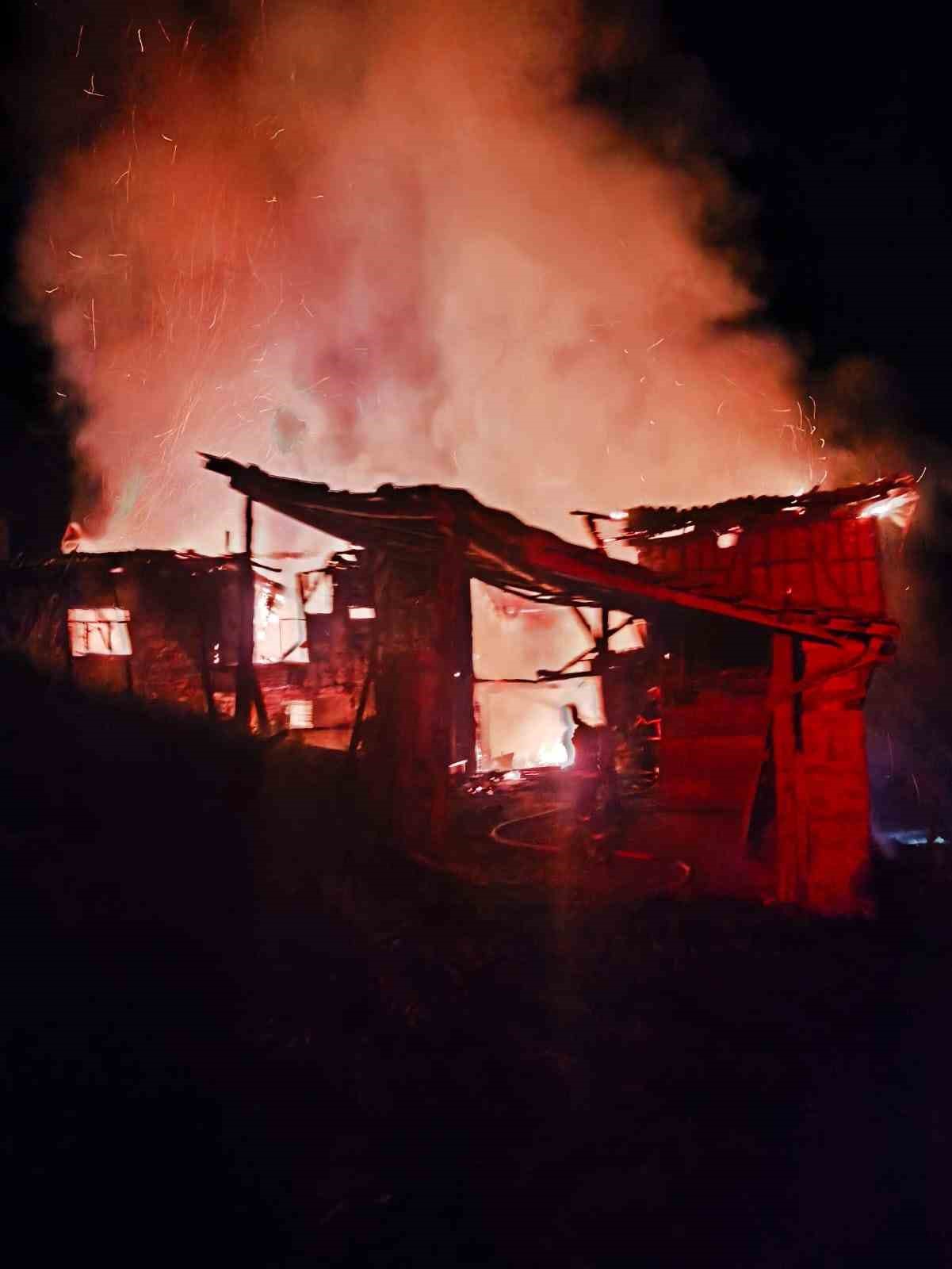 Bilecik’te ahır yangını