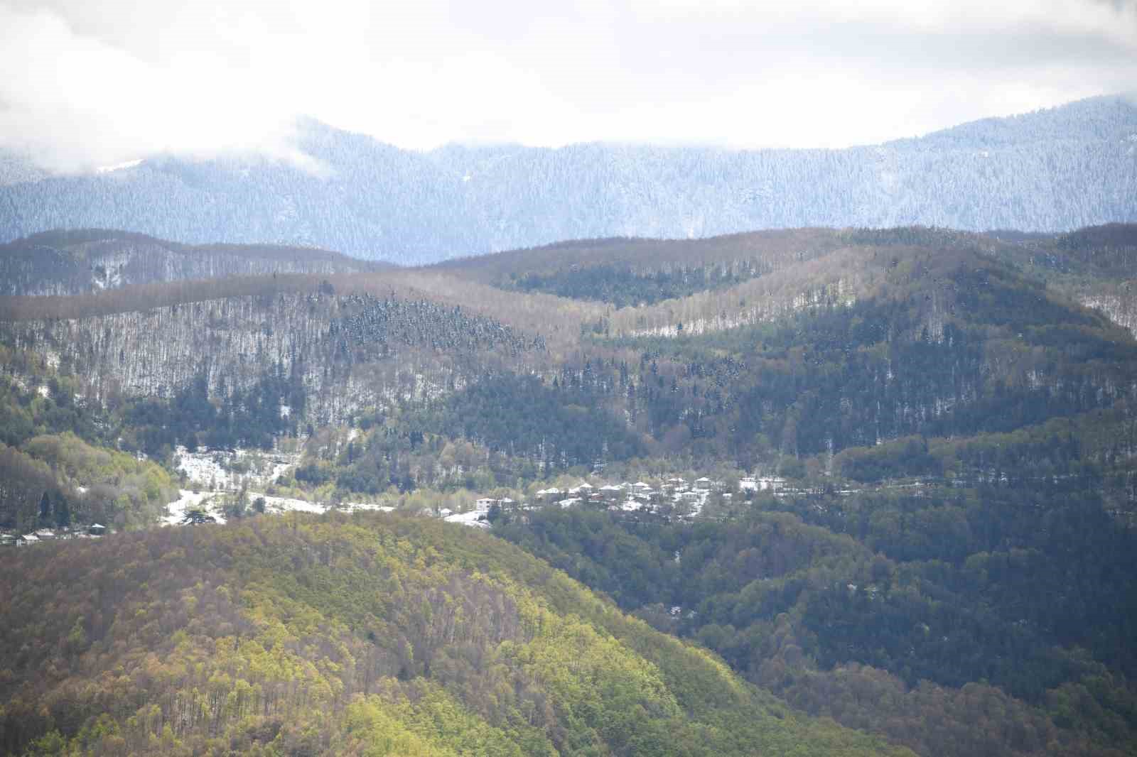 Dört mevsim tek karede: Ziyaretçilerini hayran bırakıyor