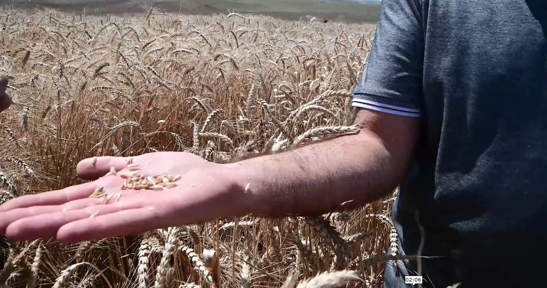 Yozgat&rsquo;ta tarım ve hayvancılığa akademik dokunuş
