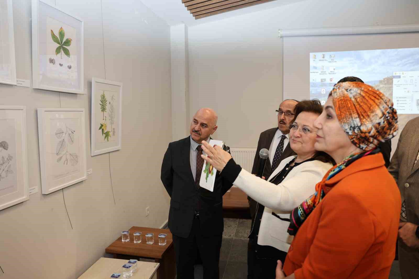 Anadolu’nun ağaçları sergisi açıldı