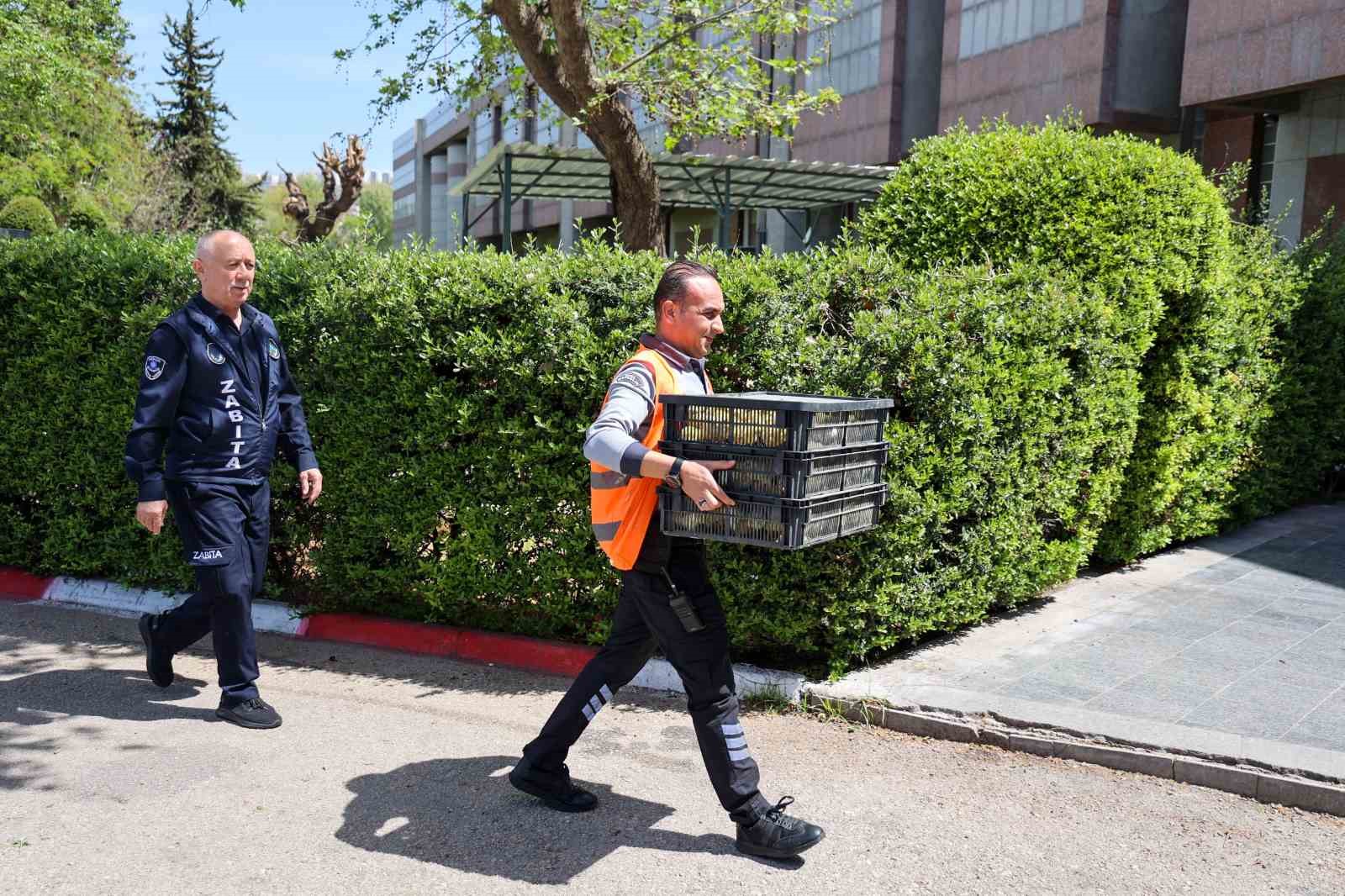 Adana&rsquo;dan otob&uuml;sle Antalya&rsquo;ya g&ouml;nderilen 300 civcive el konuldu
