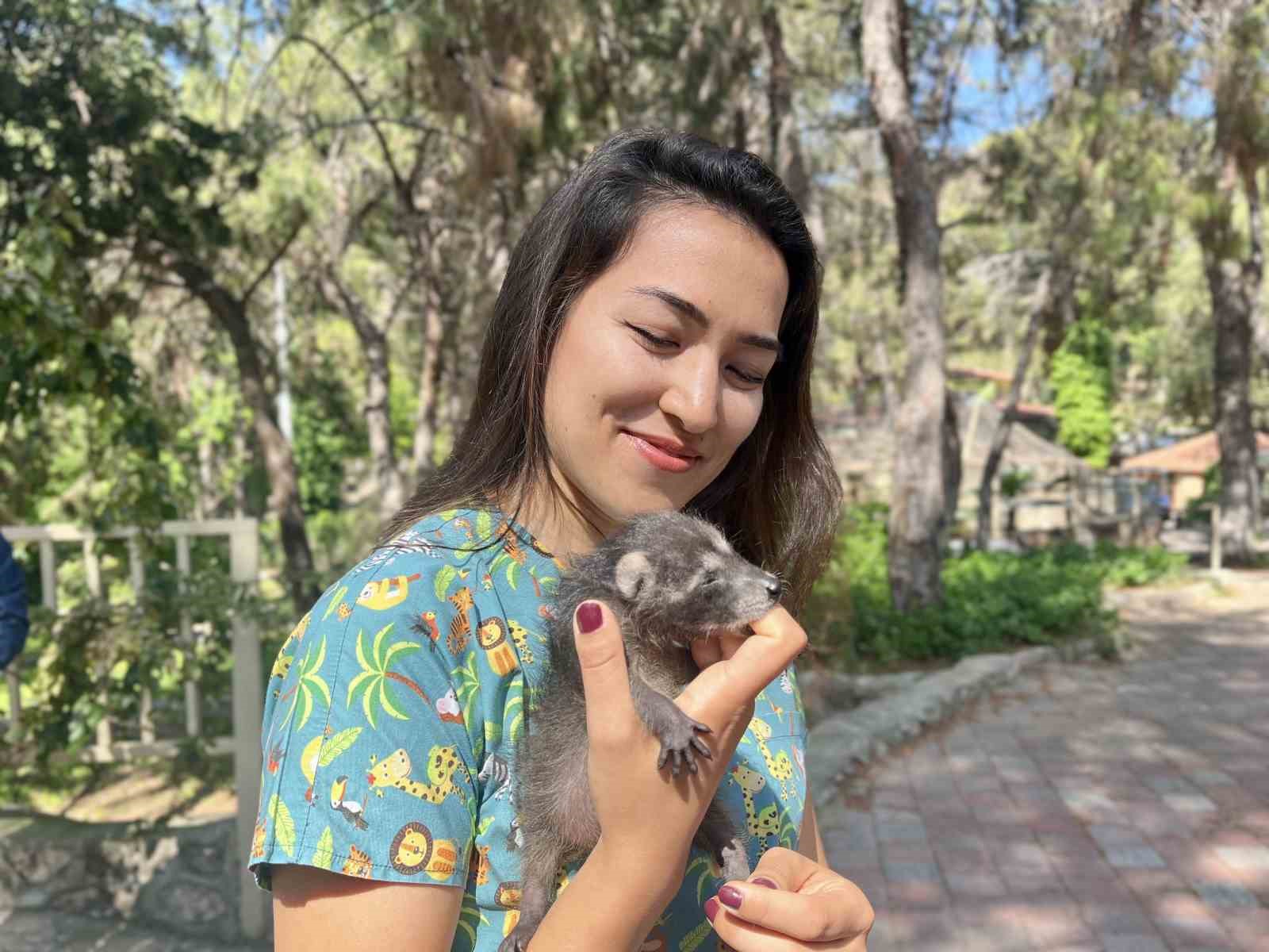 Antalya otogarında el konulan 2 yavru sincaptan haber var