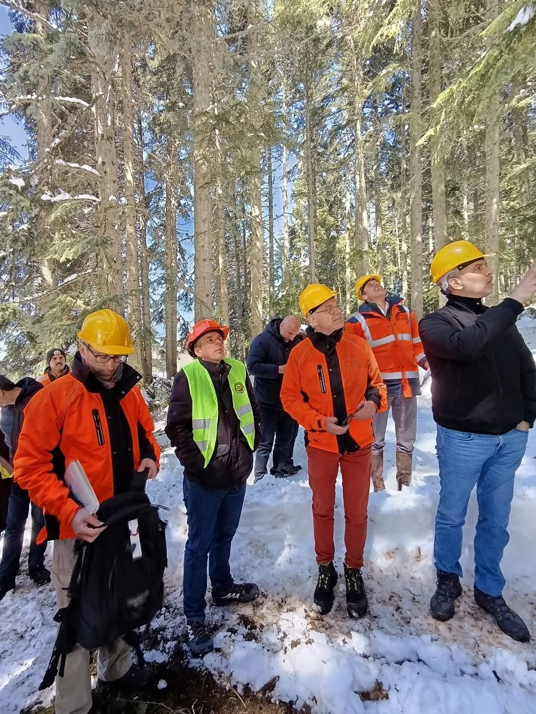 Fransız heyet, Kastamonu’daki ormancılık faaliyetlerini inceledi