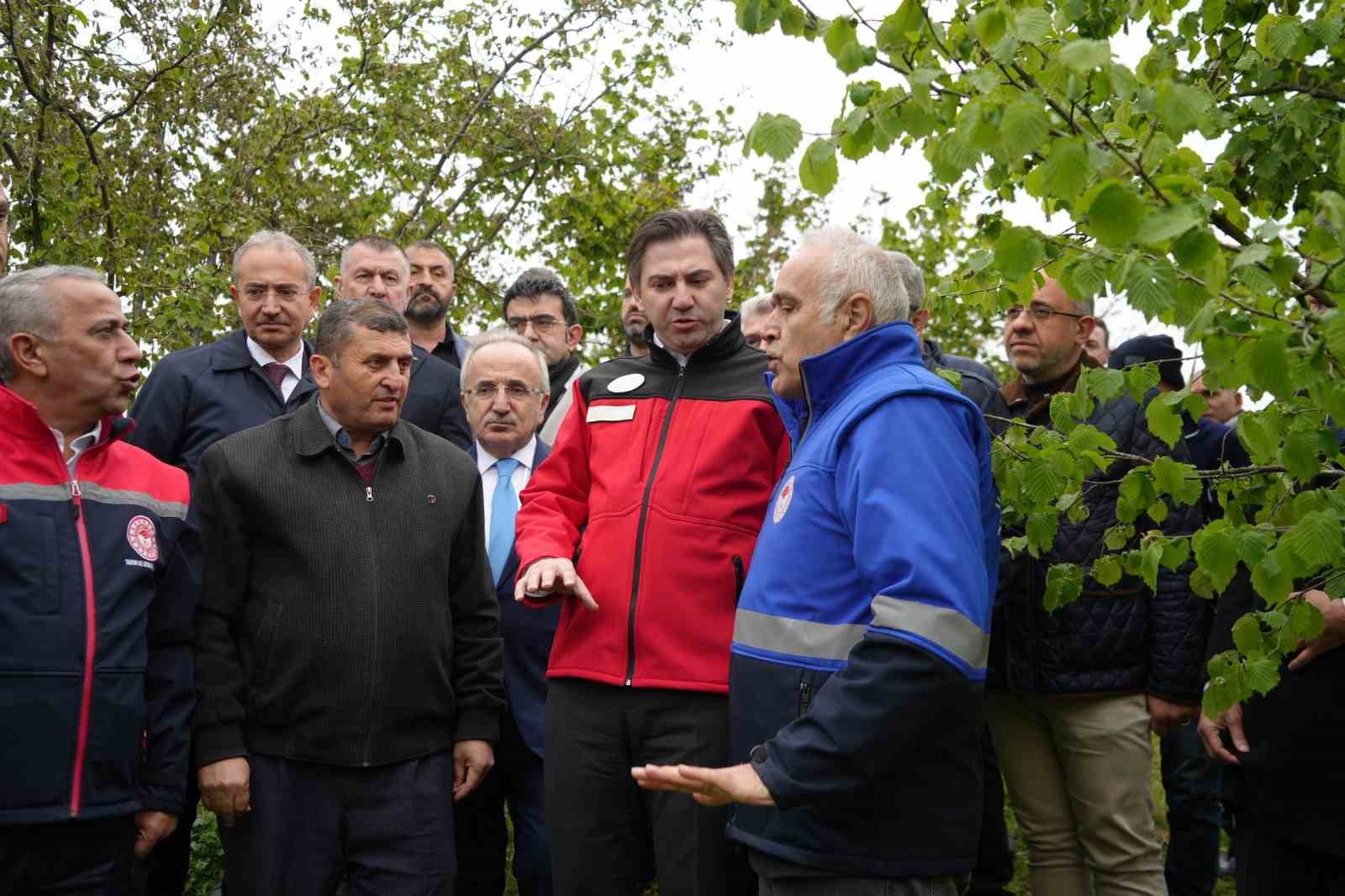 Bakan Yardımcısı Bağcı: "Cumhuriyet tarihinin en b&uuml;y&uuml;k zirai don hadisesi"
