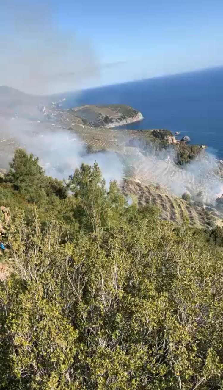 Gazipaşa’da muz bahçesindeki yangın makilik alana sıçradı