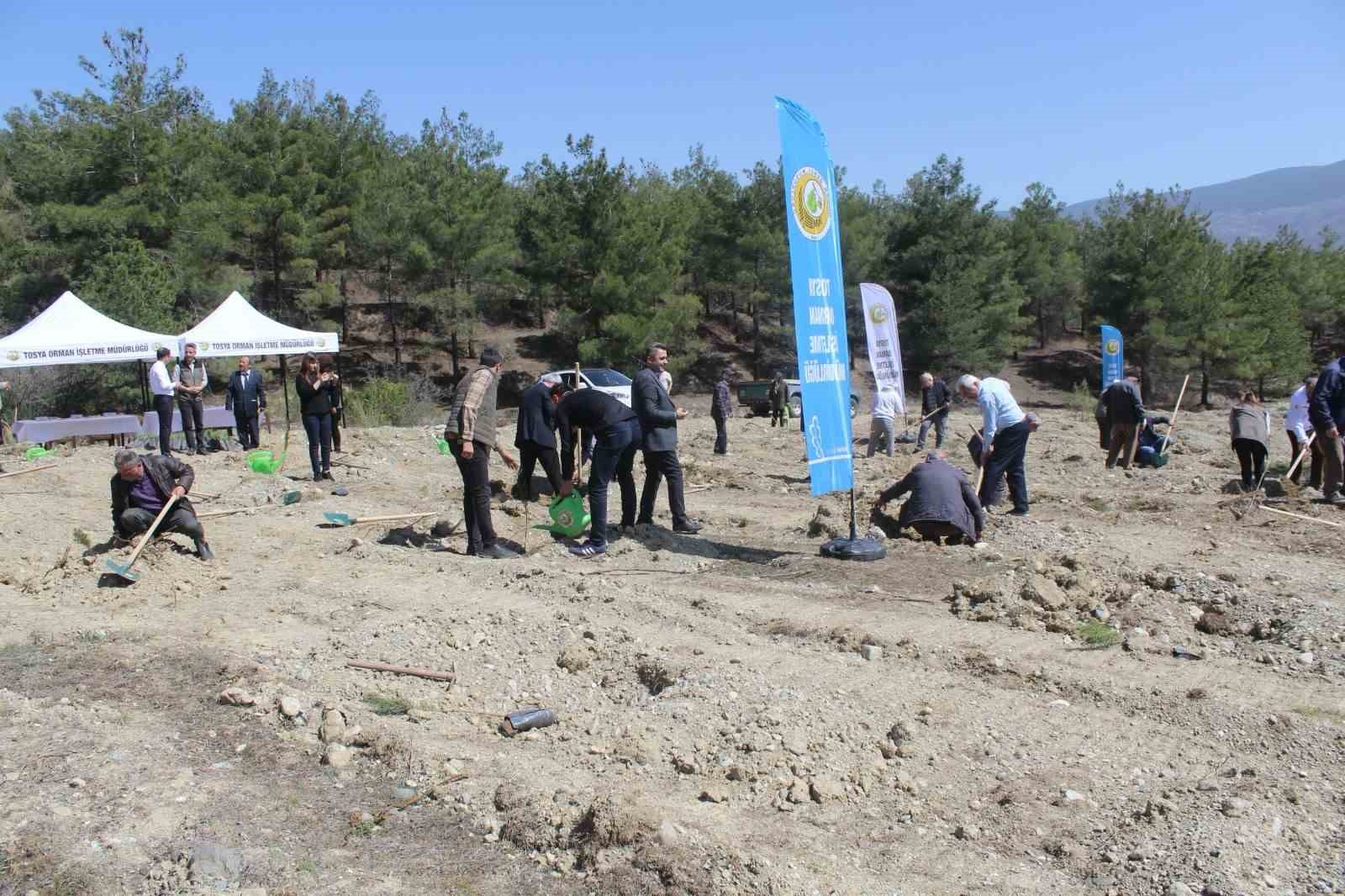 Emekli öğretmenler doğa için kolları sıvadı, onlarca fidan dikti