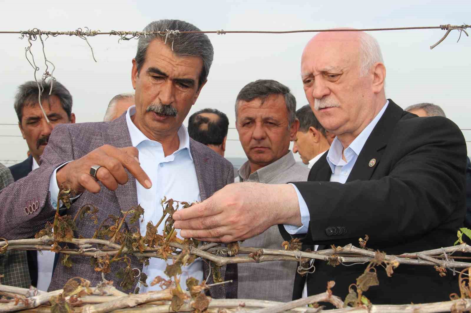 TZOB Genel Başkanı Bayraktar, Manisa’da don afeti sonrası bağlarda incelemelerde bulundu