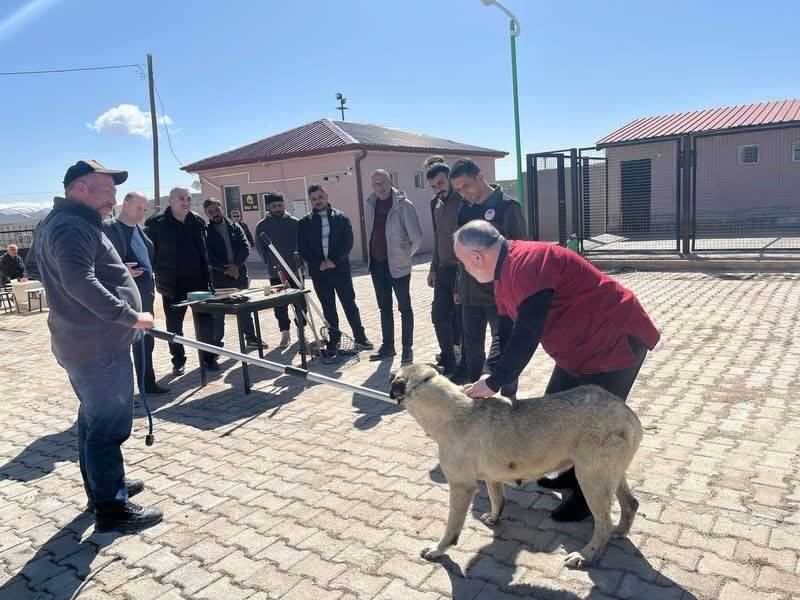 Bayburt’ta sokak hayvanlarını yakalama personeline eğitim