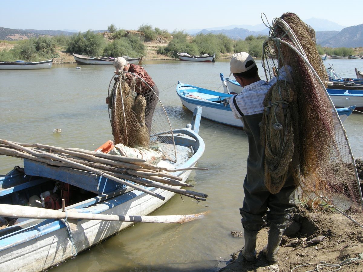 7 bin kilometrelik yolculuğunu Aydın’da tamamlayan yılan balığının geleceği görüşüldü