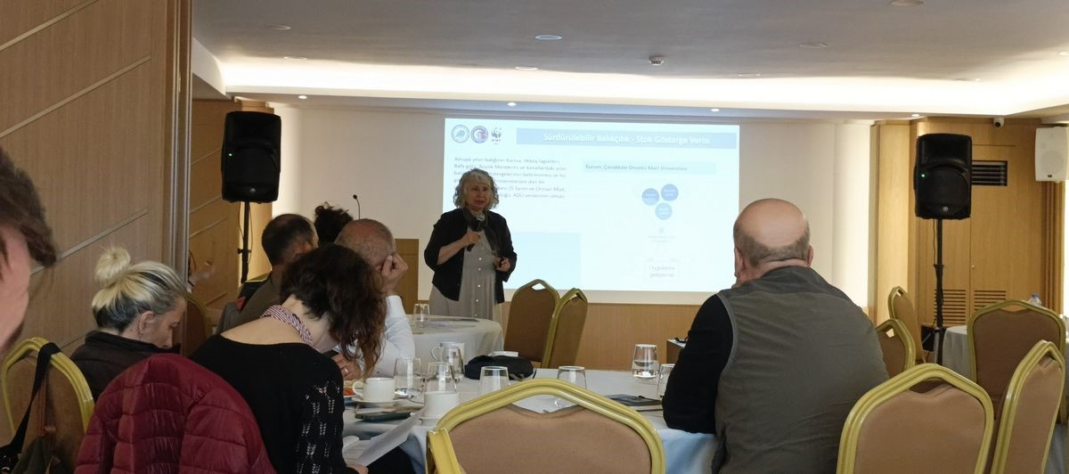 7 bin kilometrelik yolculuğunu Aydın&rsquo;da tamamlayan yılan balığının geleceği g&ouml;r&uuml;ş&uuml;ld&uuml;
