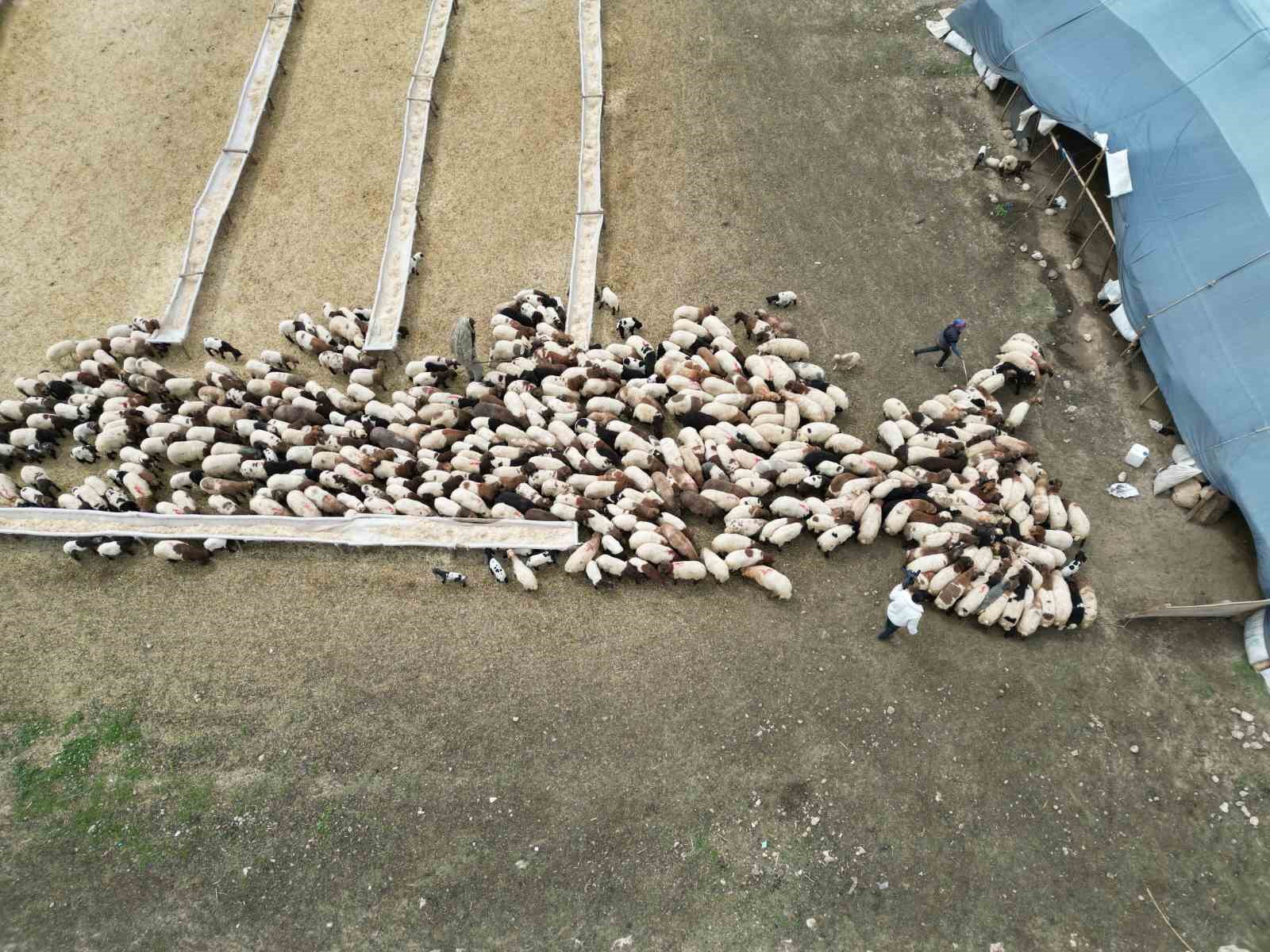 ’Cehennem göçerleri’, zorlu yayla yolculuğuna hazırlanıyor