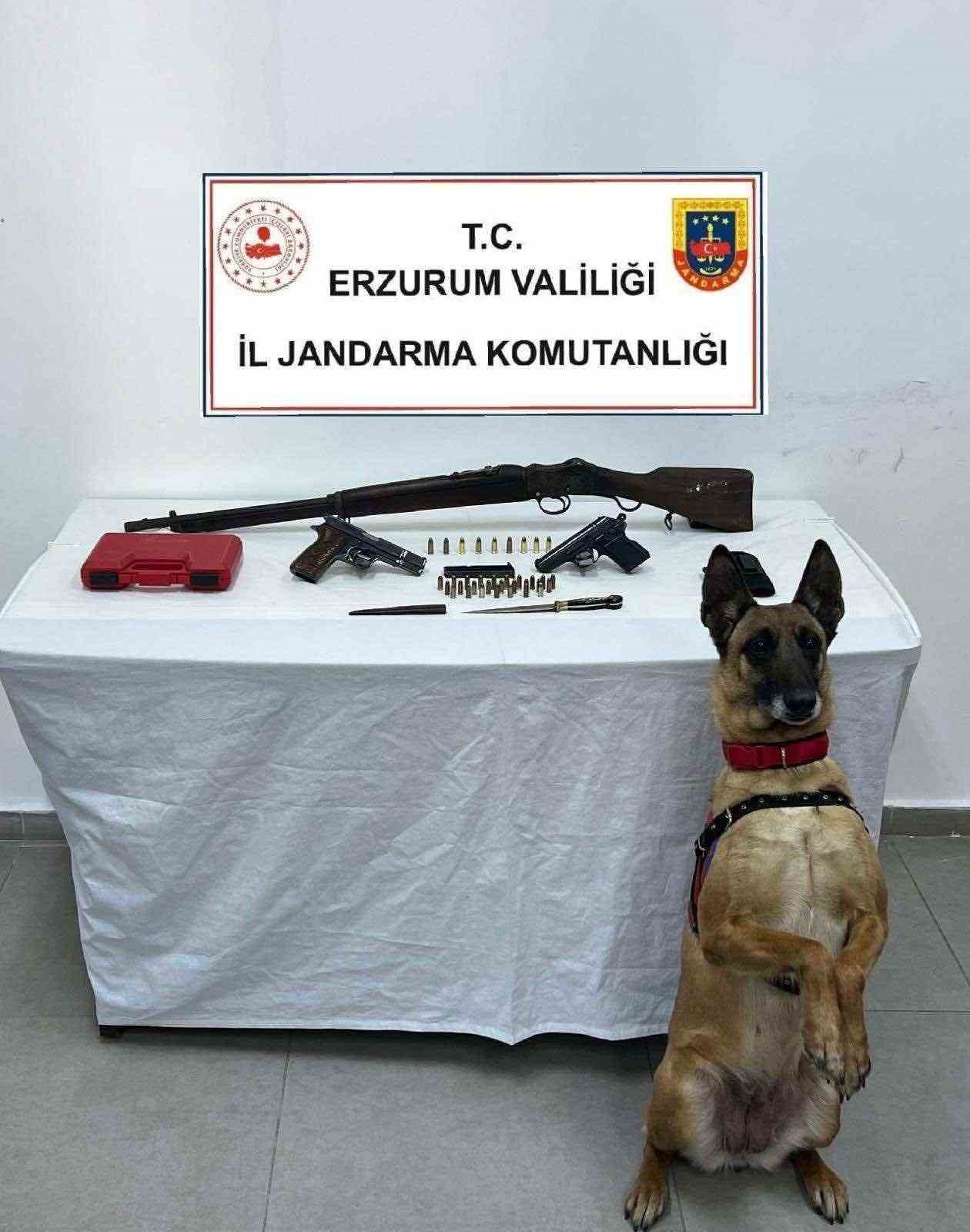 Bomba arama köpeği Yazı yine yakaladı