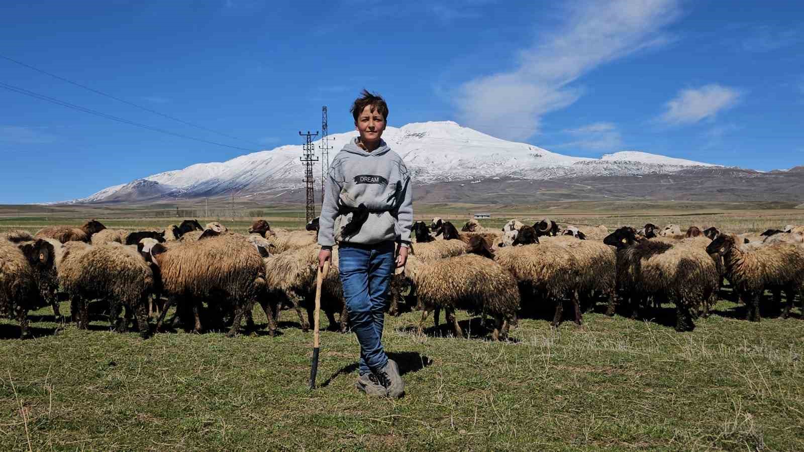 Havanın ısınmasıyla hayvan sahipleri rahat nefes aldı

