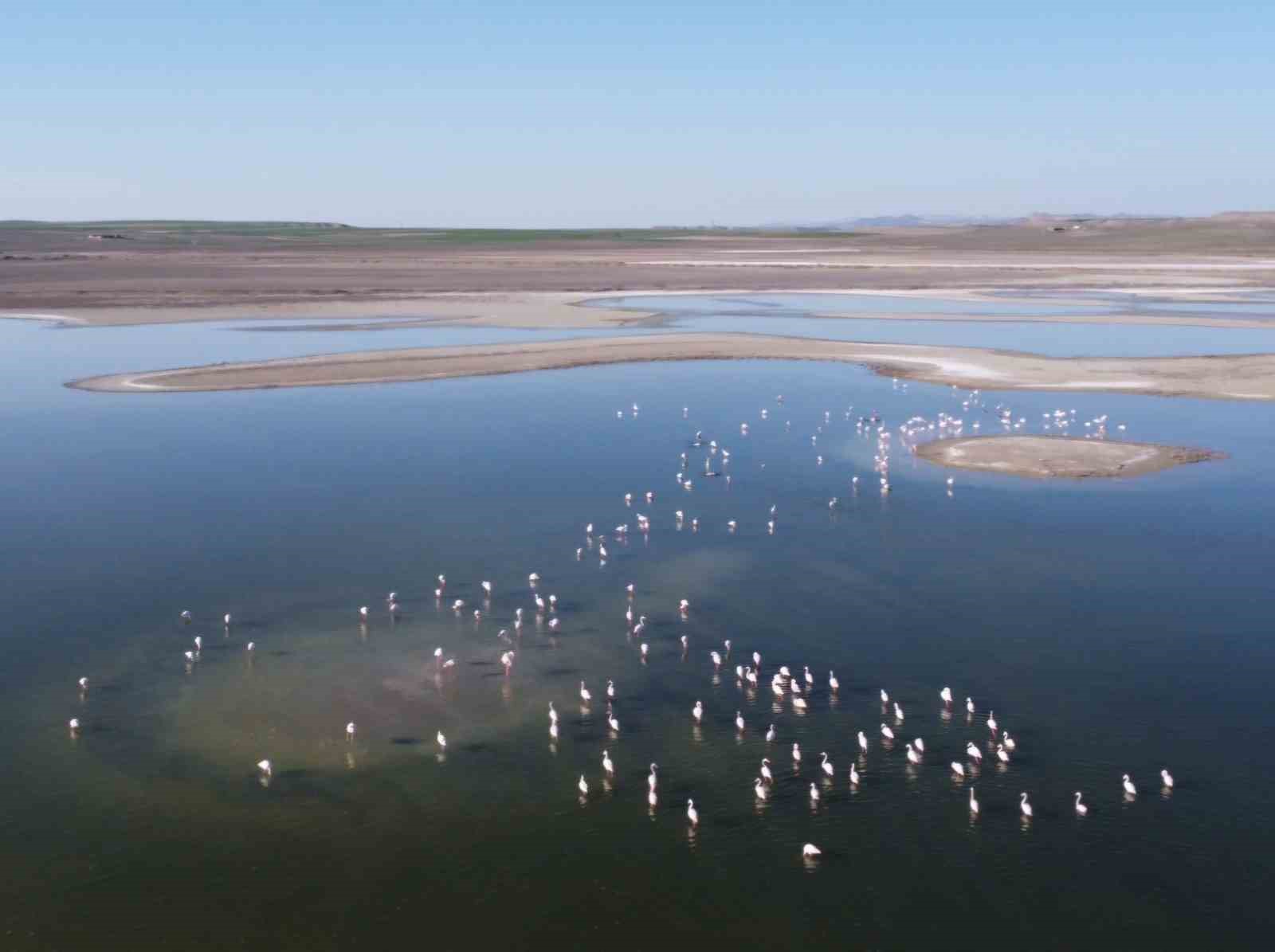 Vali Aksoy, Günyüzü İlçesi’nde yapılan ve yapımı devam eden projeleri yerinde inceledi