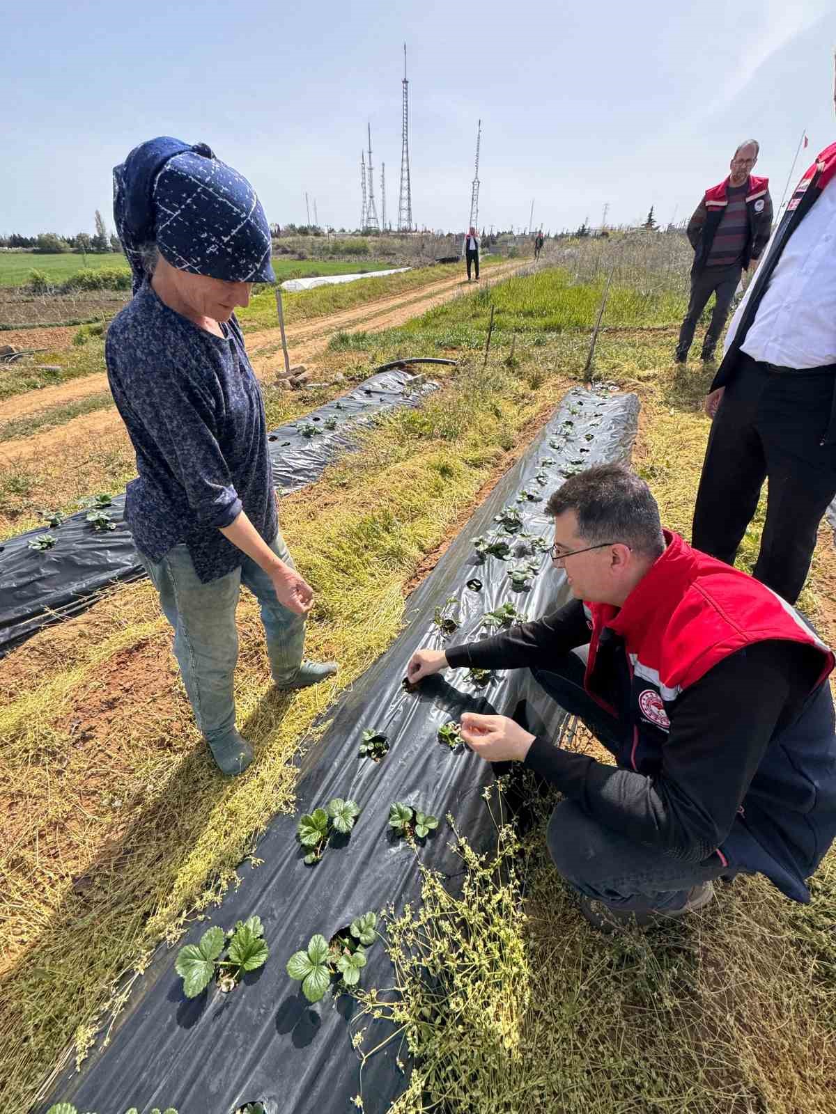 Tekirdağ’da don zararıyla ilgili üreticiler bilgilendirildi
