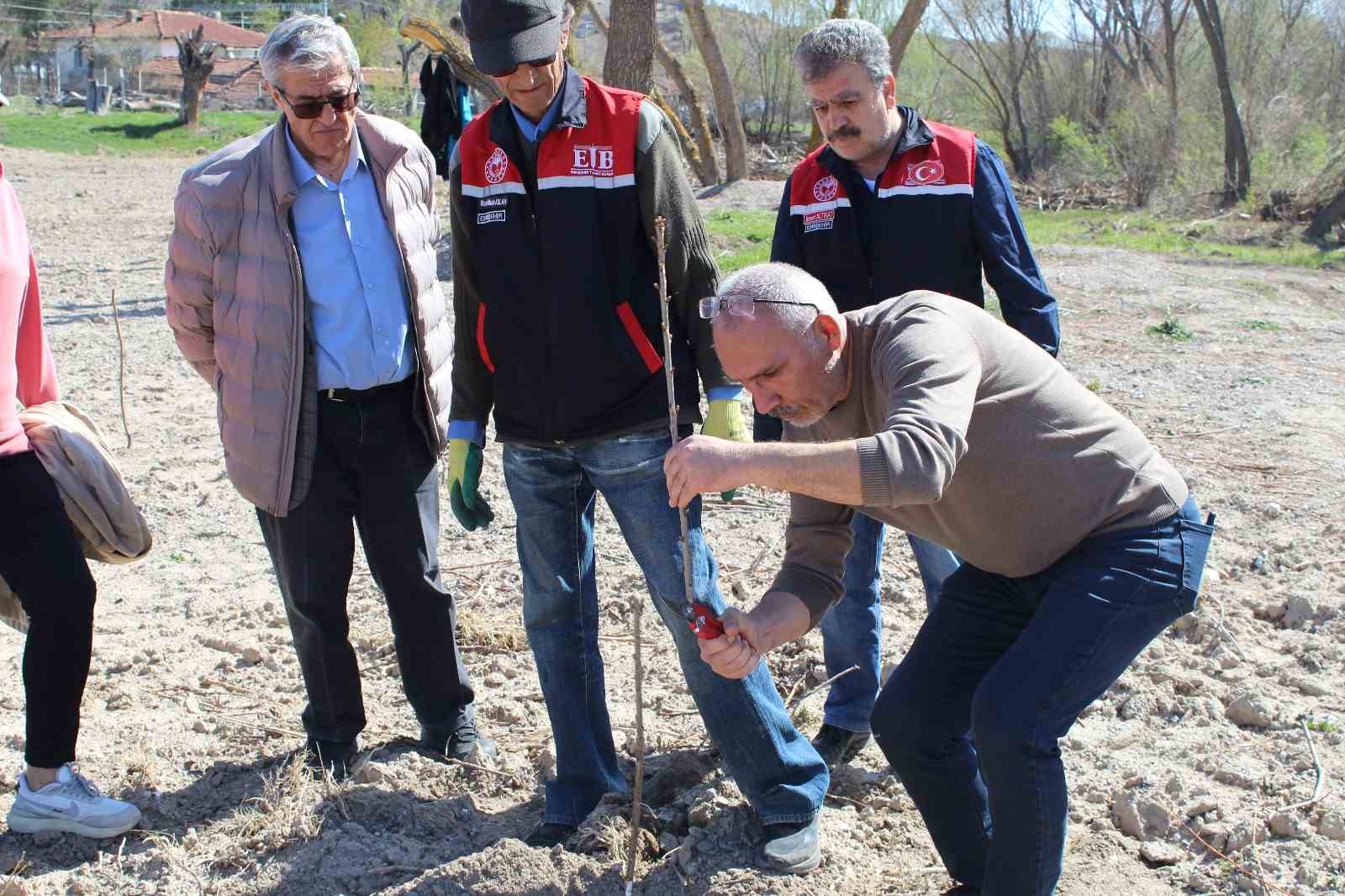 Yükümlüler ile meyve fidanlarında dikim budaması eğitimi yapıldı
